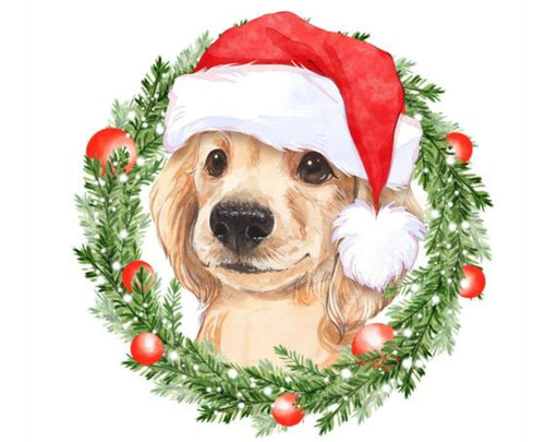 Paint Your Pet Christmas (N. Chas)